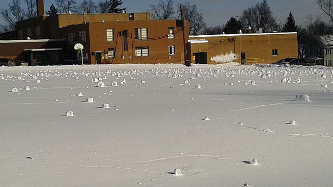 An open snowy field provides a conducive environment for the formation of snow rollers, like these found in Lexington, Ohio. 1-28-2014