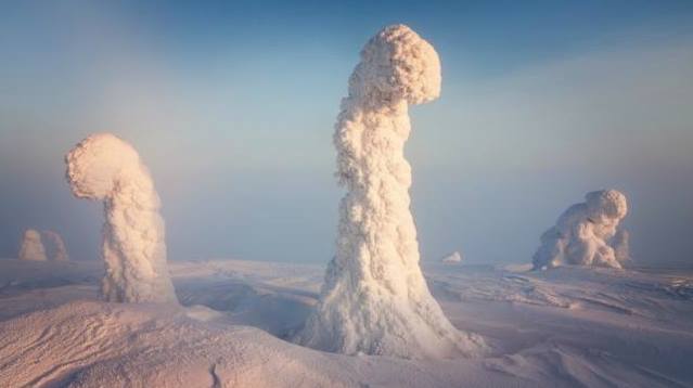  "... these incredible images were actually taken near the Arctic Circle, where temperatures can fall as low as -40 degrees Celsius. The surreal shapes are trees that became coated in a thick layer of snow and frost, due to the dramatic sub-zero conditions. Italy-based photographer Niccolò Bonfadini captured the shots during his nine-day camping trip to Finland last January."