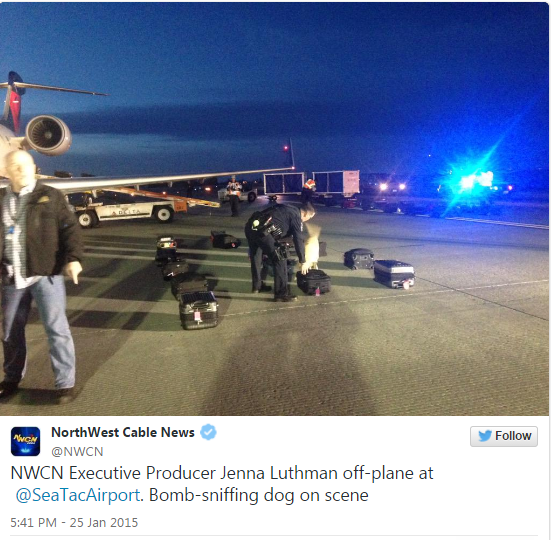 There seems to be no stopping of fake bomb threats directed at US airlines: two passenger jets landing in Seattle, Washington were evacuated and searched for explosives, while another flight was diverted to Dallas, Texas for similar safety procedures. A JetBlue flight from Long Beach, California, and a regional SkyWest jet from Phoenix were both isolated and searched for explosives by security teams with dogs at Seattle-Tacoma International Airport on Sunday. Passengers of JetBlue flight 1006 reportedly had to exit the plane, which had been sent to a far end of the airfield, using portable stairs, while their luggage was examined by detection dogs. The evacuation lasted for about 45 minutes.
